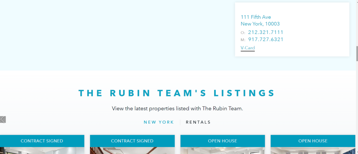 The Rubin Team Website